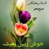 ibrarahmad4676
