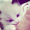 seblak_cuy1
