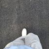 _febiyy8