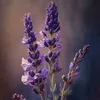 .lavender201