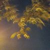 gerald_2890