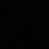 rasv46