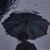 sasabala11