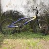 bmxkimochi