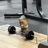 aauwtfo