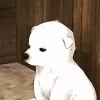 lauchimmuoiot