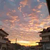 lavinio11