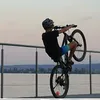 henri_2011_