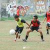 allip_34