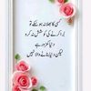 rana.javeed321