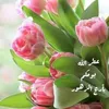 fatiha.sabiri8