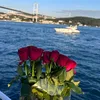 lav_nzar