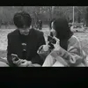 .ali85537