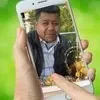 user7618261236870