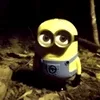 ripdudu0