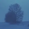 ft