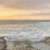 lu_inspo_