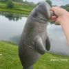 monkey.boy.4646