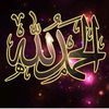 saddamalezzi912