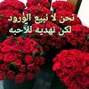 user6378615700913