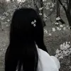 ._scarlet6