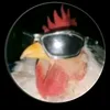 yahia.yahia971