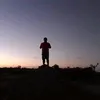 tintofleaf