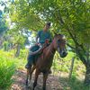 udielfunes