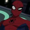 🕸️Spayder / سبايدر 🕷️
