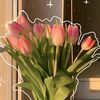 syra.aura166