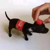 dawwg08