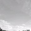 user0005000600