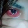 user82080163298607