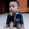 latief6685