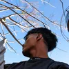 haronn_7