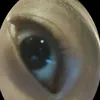jarjarbinxbie