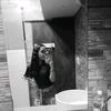 ivy.oli02