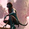 avatar0677