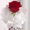 ahmed1999makd