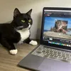 Ngộ Không rì viu 🙈