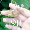 rintefani
