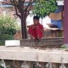 ciko_wenak