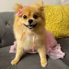 thisis.lily