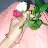 fatemaislam8455