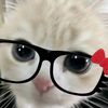 jnyptranggrini_23