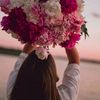 ahl_242