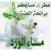 user3848019915303