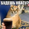 user7588865692144
