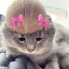 random_shit6931