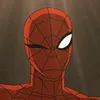 spider__ali